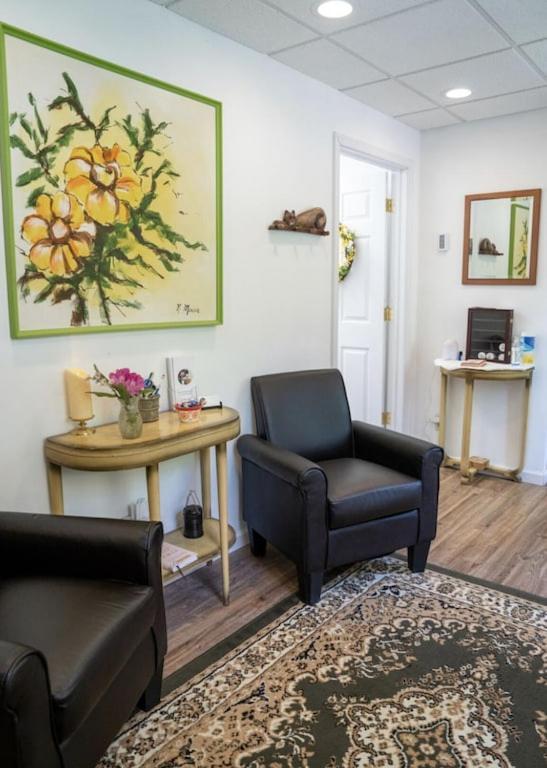 Mockingbird Mountain Spa And Retreat Luray Εξωτερικό φωτογραφία